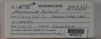 Image Associated With the Occurence